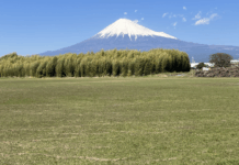 【2025/05/24】2025 アルティメット 富士オープン 第3戦 参加チーム募集