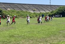 【2025/11/15】2025 アルティメット 富士オープン 第6戦 参加チーム募集